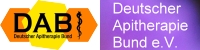 API Logo