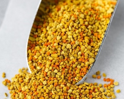 Blütenpollen